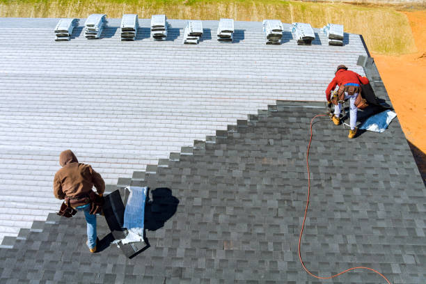 Best Local Roofing Companies  in Springville, NY