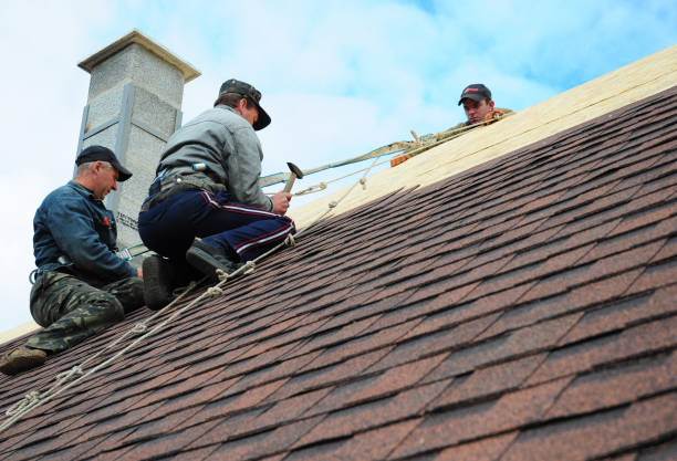 Best Emergency Roof Repair  in Springville, NY