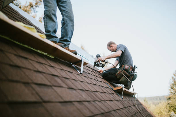 Best Residential Roof Replacement  in Springville, NY